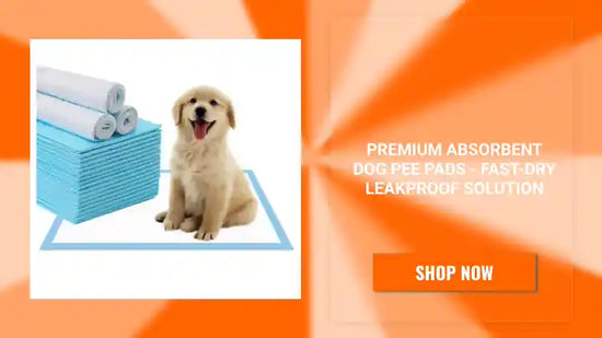 Premium Absorbent Dog Pee Pads - Fast-Dry Leakproof Solution by@Outfy
