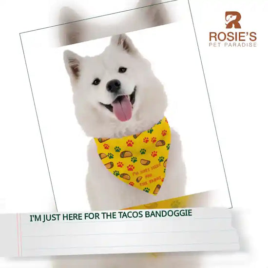 I'm Just Here for the Tacos BanDoggie by@Outfy