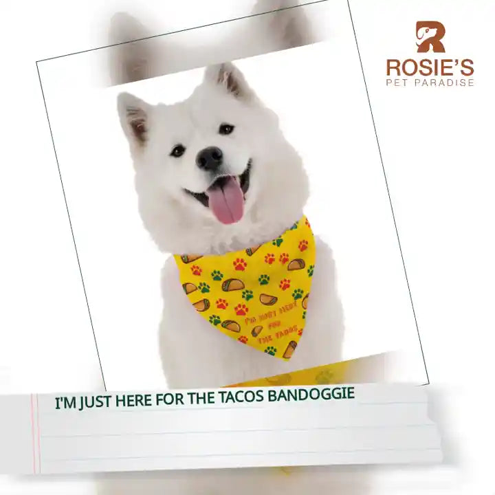 I'm Just Here for the Tacos BanDoggie by@Outfy