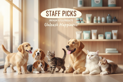 Staff Picks